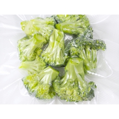 Domestic vacuum bag (embossed)